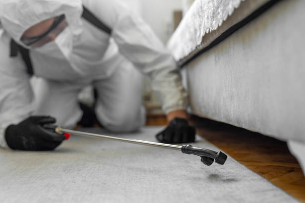 Professional Termite Control technician working in Malvern, IA