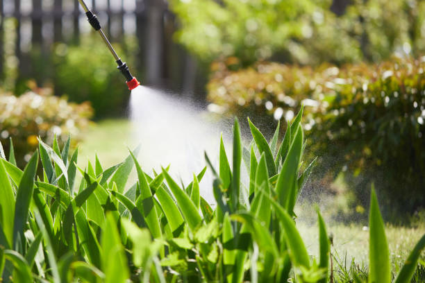 24/7 Emergency Termite Control experts in Malvern, IA